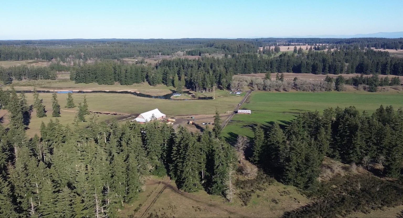 Silver Springs Cattle Ranch — Cattle ranch