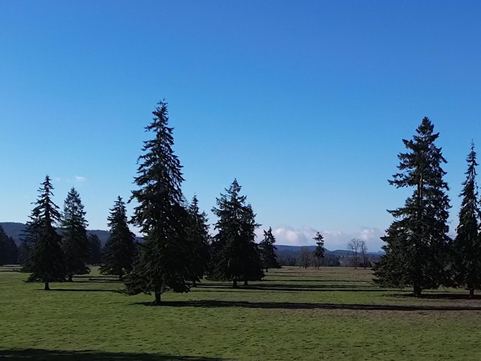Silver Springs Cattle Ranch — Conservation land