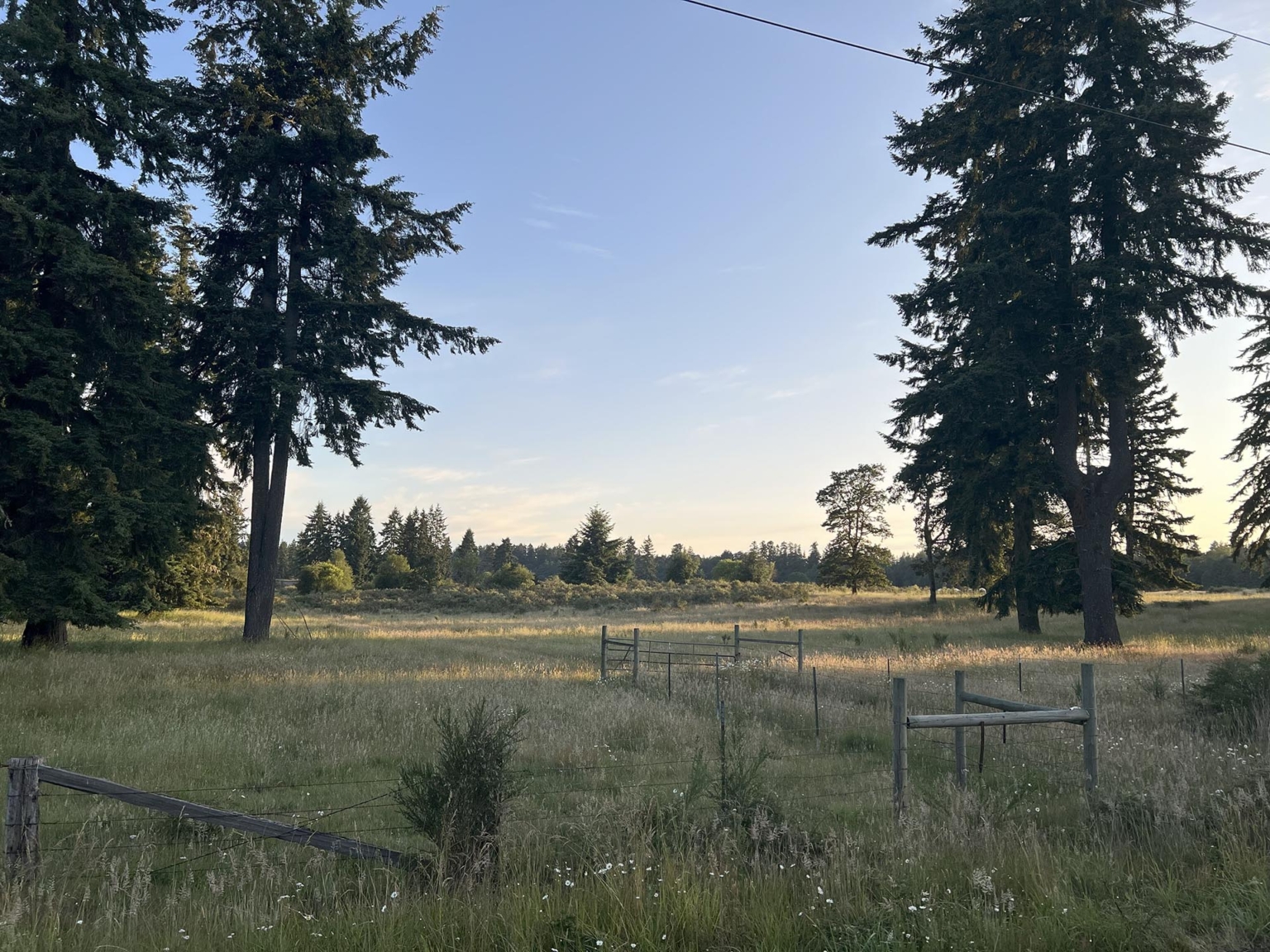 Silver Springs Cattle Ranch — Crops