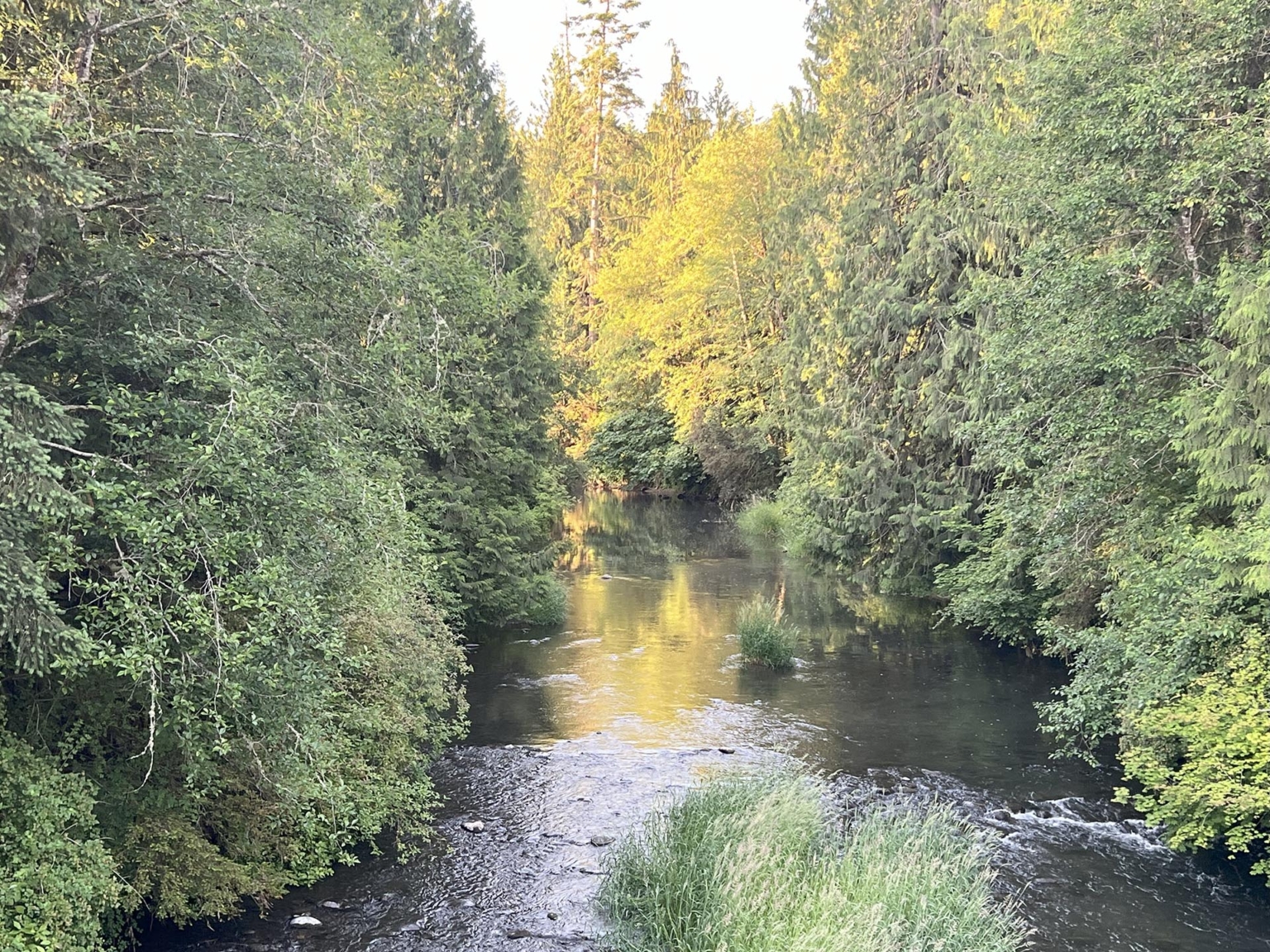 Silver Springs Cattle Ranch — Deschutes River
