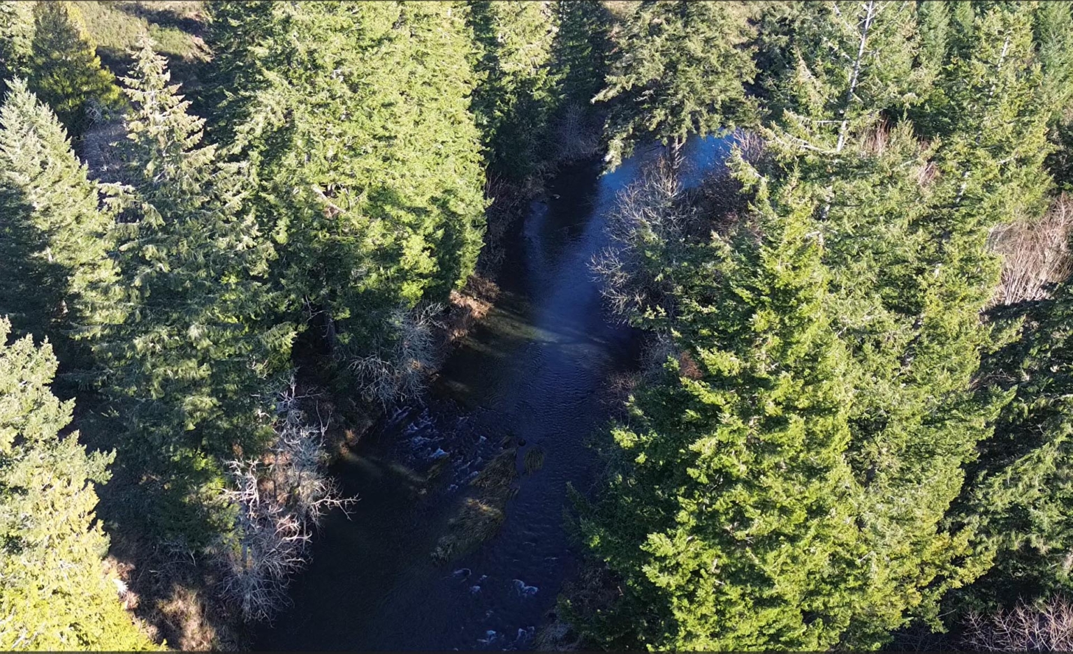Silver Springs Cattle Ranch | Tenino Washington | Fay Ranches