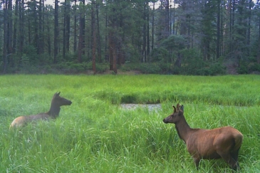 hunting property for sale new mexico san gabriel del rito