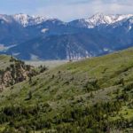 montana land for sale oc ranch parcel 4