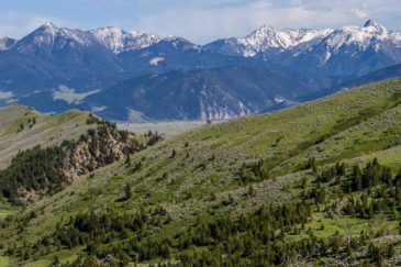 montana land for sale oc ranch parcel 4