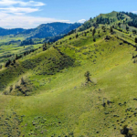montana land for sale oc ranch parcel 5