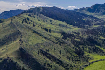 montana land for sale oc ranch parcel 6