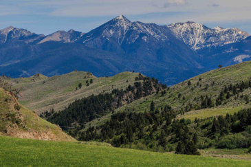 montana land for sale oc ranch parcel 7