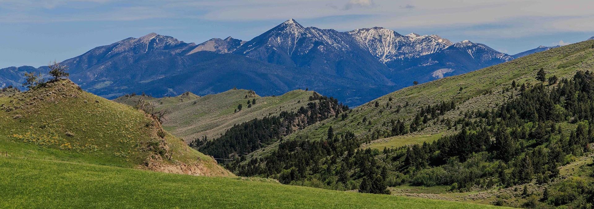 montana land for sale oc ranch parcel 7