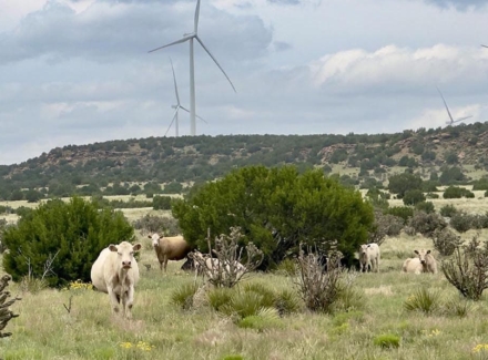new mexico cattle ranches for sale martinez pintada ranch
