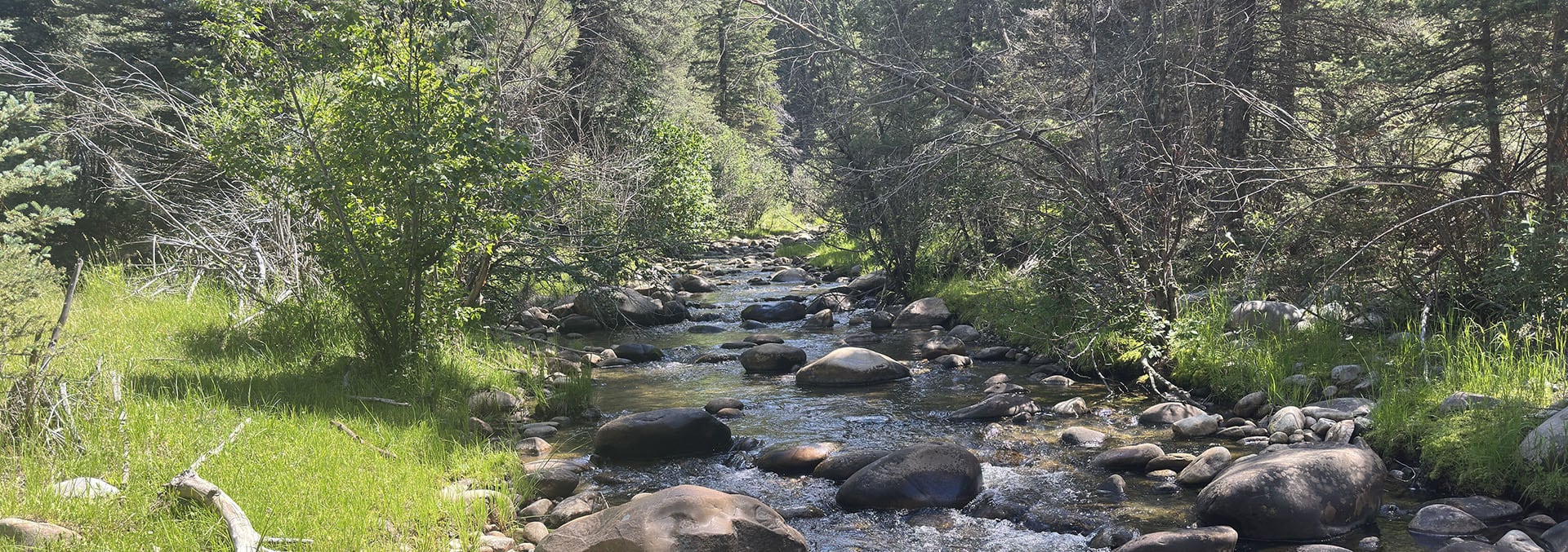 new mexico land for sale san gabriel del rito