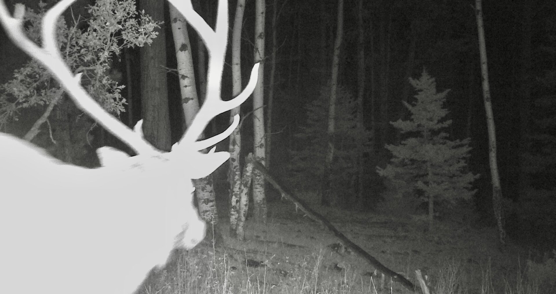 rack new mexico san gabriel del rito