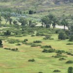 south dakota hunting property for sale white river hunting retreat and production ground