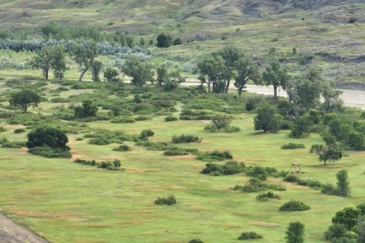 south dakota hunting property for sale white river hunting retreat and production ground