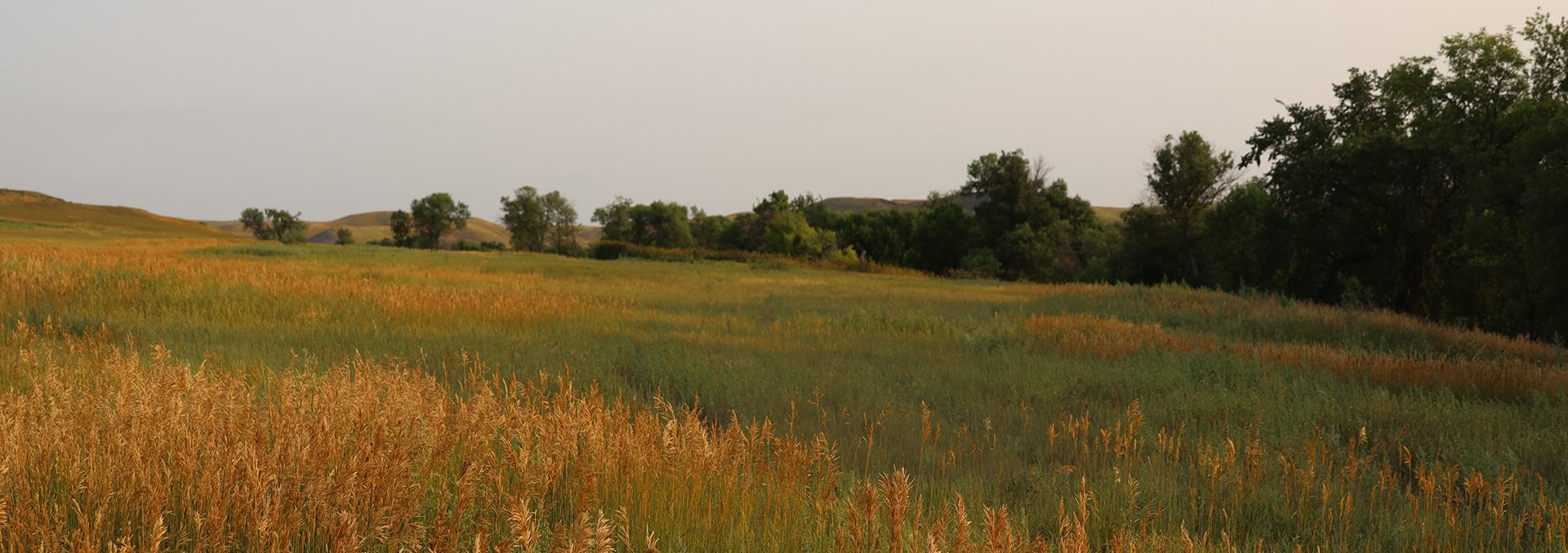 south dakota land for sale White River Hunting Retreat and Production Ground