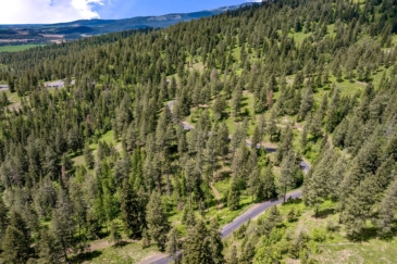 timber property for sale Idaho Painted Rose Ranch