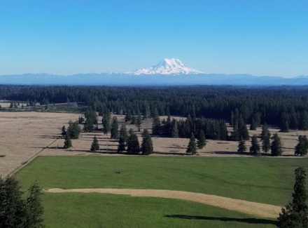 washington cattle ranches for sale RCSS