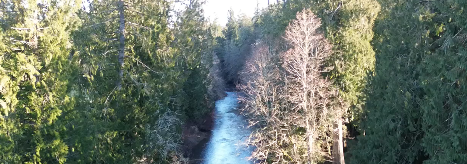 Silver Springs Cattle Ranch — Washington property overview