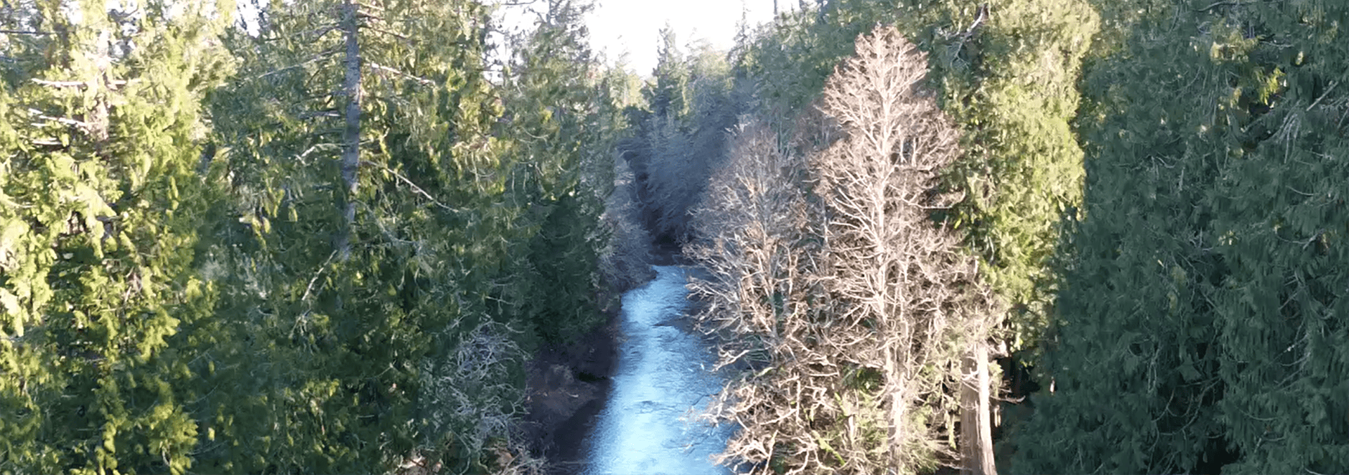 washington property for sale silver springs cattle ranch