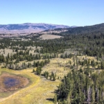 montana properties for sale moose lake middle fork ranch lots