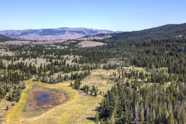 montana properties for sale moose lake middle fork ranch lots