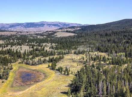 montana properties for sale moose lake middle fork ranch lots