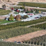 washington orchards for sale chelan organic orchard