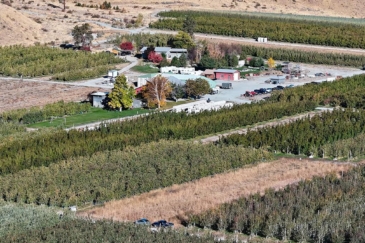 washington orchards for sale chelan organic orchard