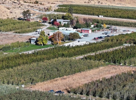 washington orchards for sale chelan organic orchard