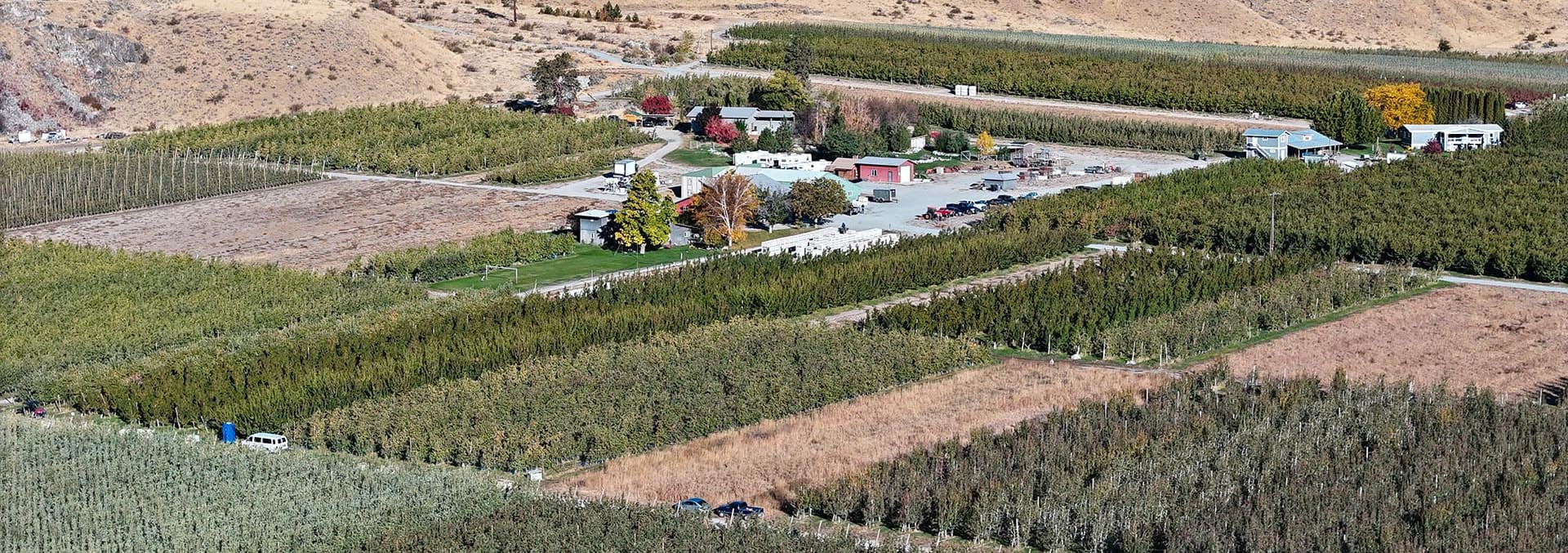 washington orchards for sale chelan organic orchard
