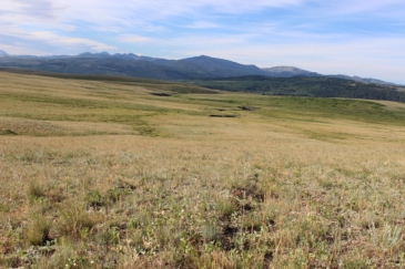 agricultural production land for sale Montana East Glacier Meadows Ranch