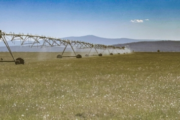 agricultural production land for sale oregon bar y ranch