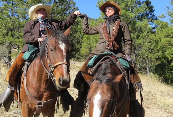 annette daskalos broker nevada horse friend