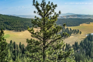 california ranches for sale flyin e ranch