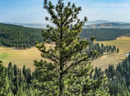 california ranches for sale flyin e ranch