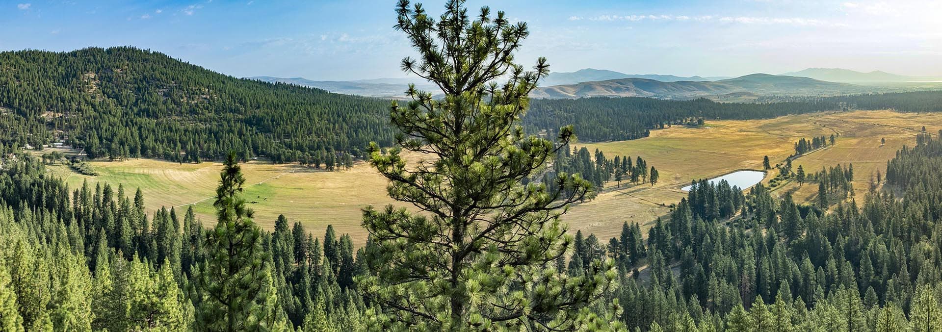california ranches for sale flyin e ranch