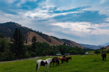 equestrian property for sale Idaho Salmon Idaho's Sky Ranch