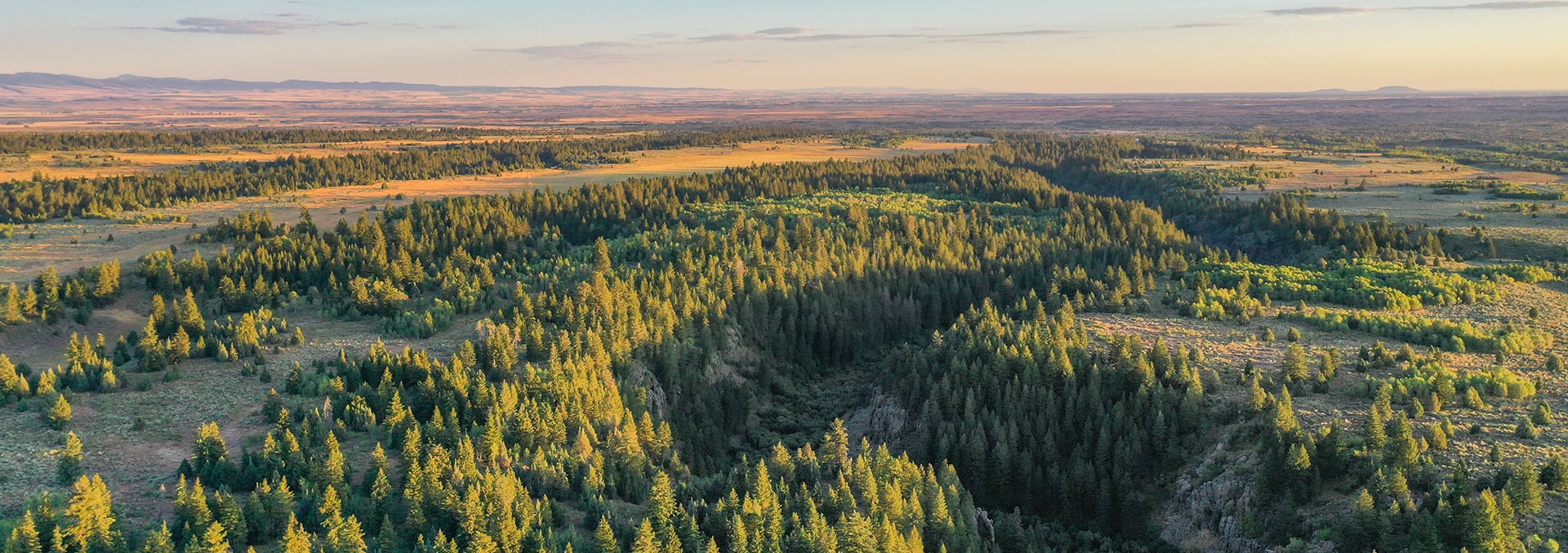 idaho property for sale five creeks ranch