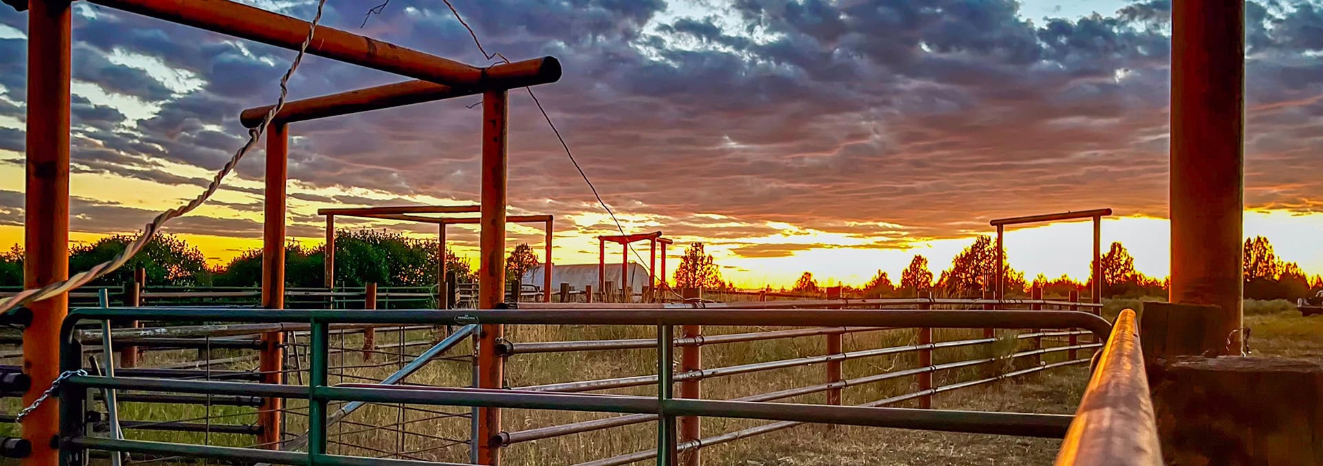 idaho ranches for sale Five Creeks Ranch