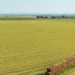 nebraska farms for sale silver plains irrigated farm