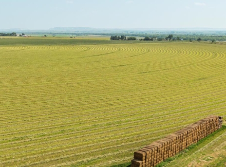 nebraska farms for sale silver plains irrigated farm