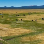 oregon cattle ranches for sale bar y ranch