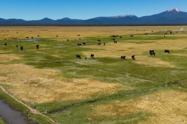 oregon cattle ranches for sale bar y ranch