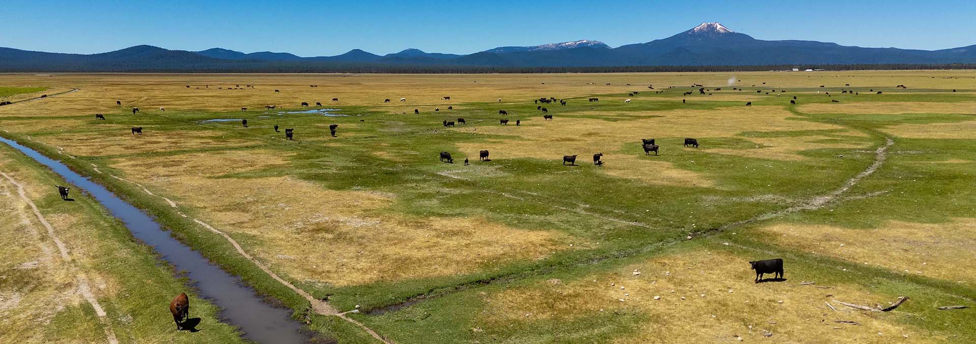 oregon cattle ranches for sale bar y ranch