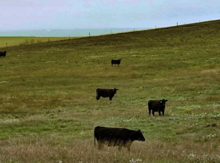 south dakota grazing land for sale lyman county grass pasture