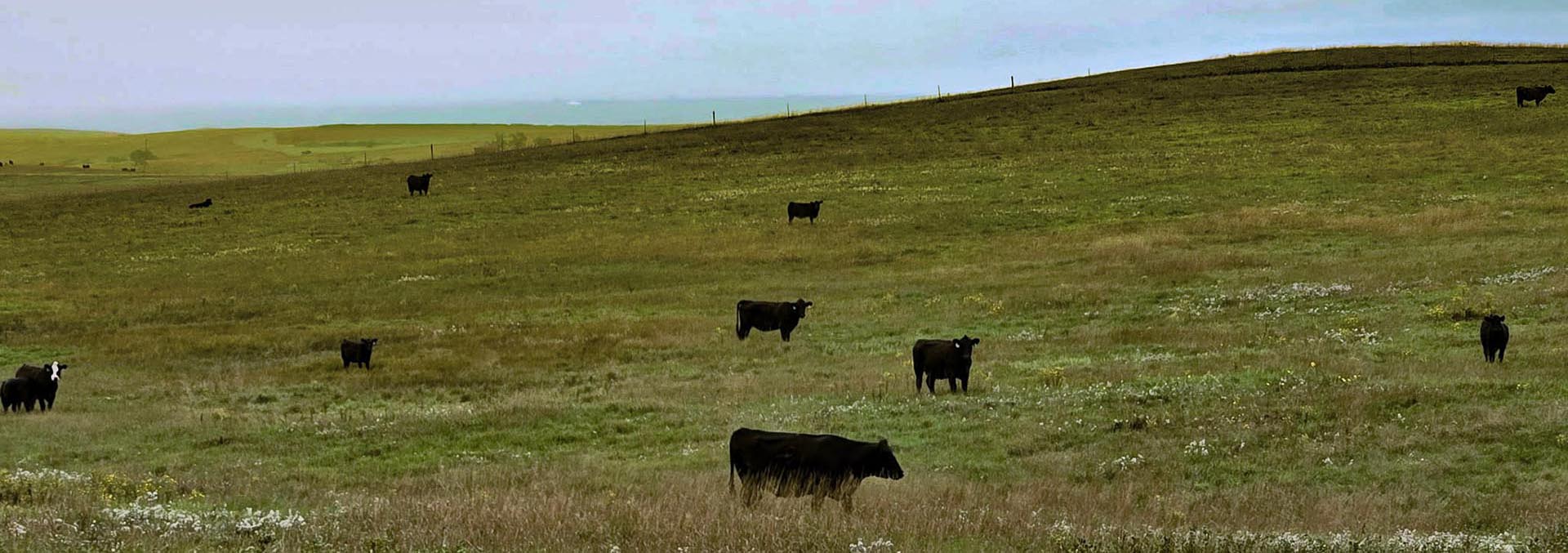 south dakota grazing land for sale lyman county grass pasture