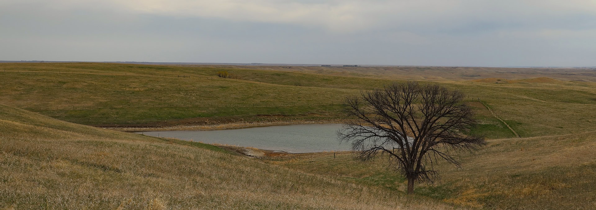 south dakota land for sale lyman County Grass Pasture