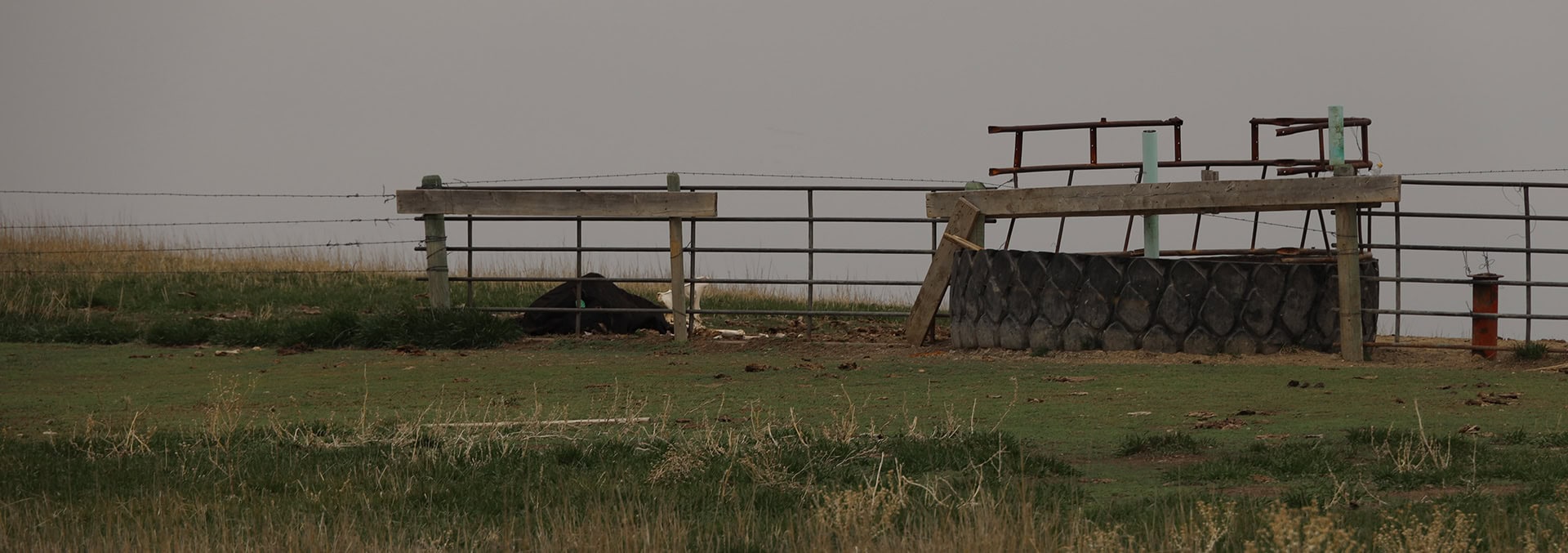 south dakota property for sale lyman County Grass Pasture