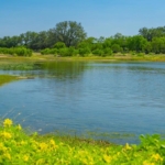 texas ranches for sale kincaid ranch