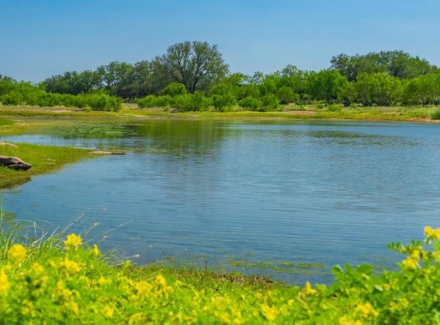 texas ranches for sale kincaid ranch