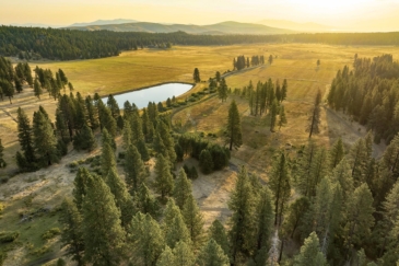 water frontage for sale california flyin' e ranch